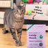 Bocce's Bakery, Crispy Chikn Crunchy Treats for Cats, Wheat-Free Everyday Cat Treats, Made with Limited-Ingredients, Baked in The USA, All-Natural...