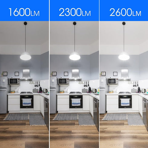 Super Bright Light Bulb 150 Watt Equivalent A21 LED Light Bulb, Daylight 5000K, E26 Base, 2600 High Lumens LED Bulb, Non-Dimmable, UL Listed, 2 Pa...