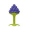 Innobaby Original Teethin Smart EZ Grip Fruit Teether and Sensory Toy for Babies and Toddlers in Grape. BPA Free Teether...