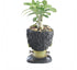 Funny Planter Youfui Head Planter with Drainage Hole Resin Plant Pot Pencil Holder Desk Storage (Frankstein)...