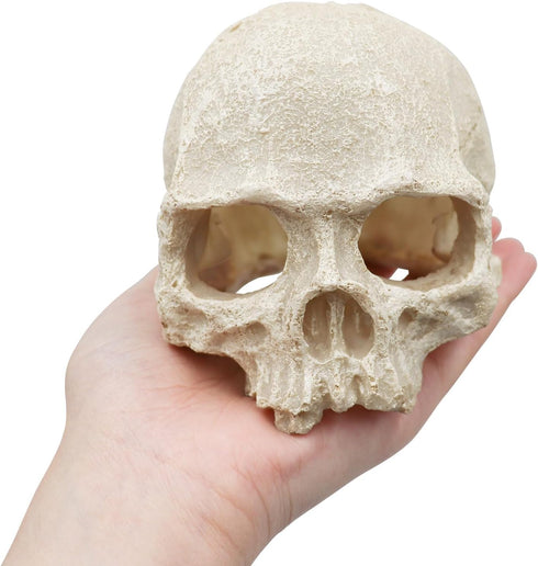 Snake Hideout, Reptile Aquarium Skull Decor, Resin Skeleton Head Fish Hide, Tank Terrarium Accessories, Reptile Hides and Caves for Fish Bearded D...