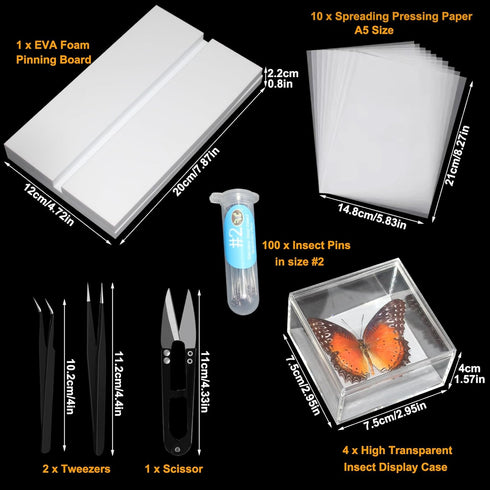 Insect Specimen Tools Kit Insect Display Case Insect Specimen Tools Insect Pins Insect Pinning Board Wings Pressing Paper Insect Collection Tools ...