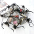 50Pcs Black Organza Bags 3x4 inch, Small Jewelry Bag Drawstring Mesh Gift Bags Wedding Party Favor Halloween Candy Pouches...