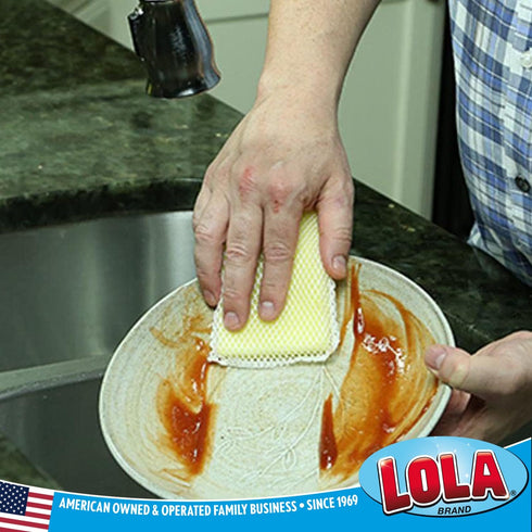 LOLA Nylon Net & Sponge Cleaning Pad | Non Scratch Scrubbing pads | Similar to Turn-A-Bout Sponges | Safe On Non-Stick Surfaces and Coated Cookwar...