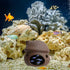 Saim Aquarium Mushroom House Decorations, Ceramic Fish Tank Cave Hideaway Small Fish Shrimp Breeding Cave Fish Tank Landscape Decor for Territoria...