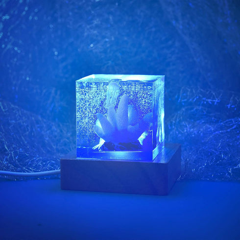 YAKAMOZ 2Pcs Round Wooden LED Lights Display Base for Laser Glass Resin Art(it did not Come with a Control to Change The Lights)...