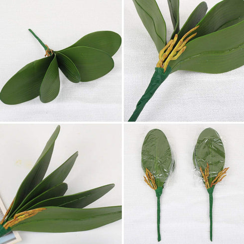 FagusHome 6 PCS Artificial Phalaenopsis Orchids Leaves 11 inches Green Faux Orchids Leaf (6 Pcs)...