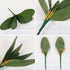 FagusHome 6 PCS Artificial Phalaenopsis Orchids Leaves 11 inches Green Faux Orchids Leaf (6 Pcs)...
