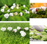 40 Pcs Mini Animals Miniature Resin Sheeps and Cows,Fairy Garden Moss Landscape Ornaments for Outdoor Decoration,Home Décor …...