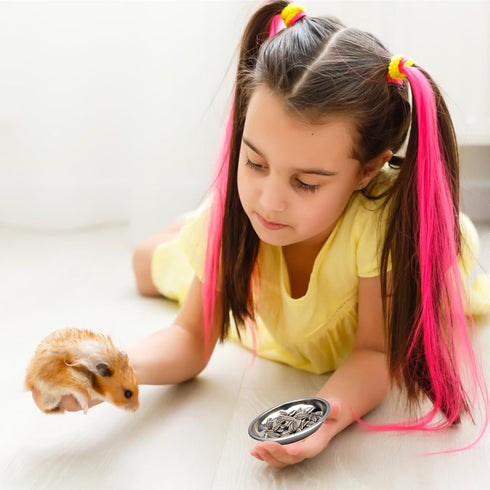 8PCS Animal Feeder Pet Water Dish Food Dish Stainless Steel Pet Feeding Bowl Reptile Feeding Dish Reptile Water Dish Reptile Bowl Feeding Bowl Cat...