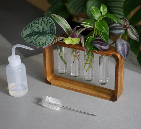 Source & Plot - Plant Propagation Station - Acacia Wood Stand 4 Glass Test Tube Hydroponic Tabletop Rooting Terrarium Planter Rack Home and Office...
