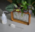 Source & Plot - Plant Propagation Station - Acacia Wood Stand 4 Glass Test Tube Hydroponic Tabletop Rooting Terrarium Planter Rack Home and Office...