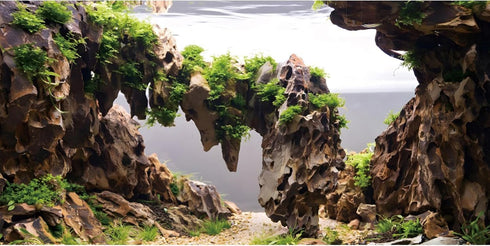 AWERT 30x18 inches Viewing Stone Fish Tank Background Aquatic Plant River Bed & Lake Aquarium Background Seaweed Aquarium Vinyl Background...