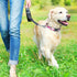 Martingale Dog Collars,Adjustable Soft Nylon Slip Collar Quick Release Buckle,No Pull Dog Training Collar for Large Medium Small Dogs...