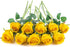 Flojery 10pcs Artificial Rose Flowers Long Stem Fake Silk Roses for DIY Wedding Bouquet Table Centerpiece Home Decor (Yellow)...