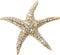 Navachi 18k Gold Plated Multi-Color Crystal Big Sea Star Starfish Brooch Pin...