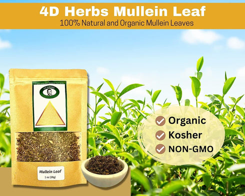 100% Natural Mullein Leaf Organic Tea - Herbal Expectorant for Respiratory - Support Lung Cleanse Caffein-Free Non-GMO Natural and Immune Support ...