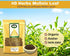 100% Natural Mullein Leaf Organic Tea - Herbal Expectorant for Respiratory - Support Lung Cleanse Caffein-Free Non-GMO Natural and Immune Support ...
