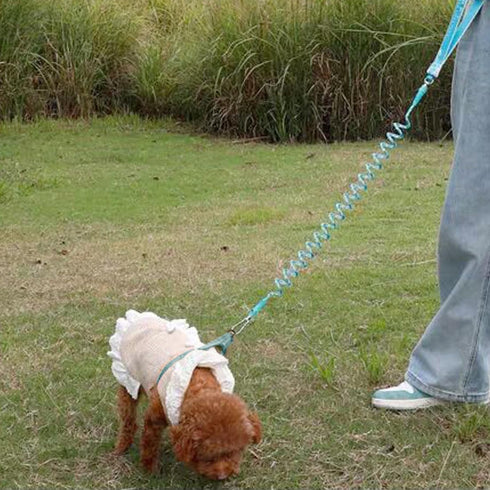 7FT Chew Proof Stretch Dog Leash Cable, Reflective Anti-Pull Shock Absorbing Dog Lead, Lightweight Cute Pet Leash with Soft Wide Nylon Handle for ...