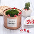 Jetec 24 Pcs Mini Mushrooms for Garden Miniatures Mushroom Figurines Garden Accessories Mushroom Model Decoration Landscape Plant Pot Bonsai Craft...