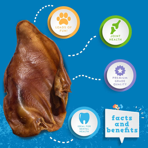 Jack&Pup Whole Pig Ears for Dogs - Extra Thick Large Pigs Ears - Premium Dog Pig Ear Treats - Natural Dog Pork Chews; Excellent Rawhide Alternativ...