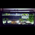 Large Breeder Net for Fish Tank Fish Hatchery Separation Net Mesh Fish Breeding Box with Suction Cup for Aquarium...