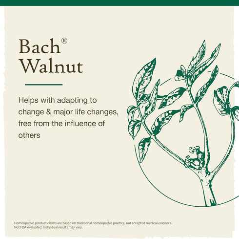 Bach Original Flower Remedies, Walnut for Adapting to Change (Non-Alcohol Formula), Natural Homeopathic Flower Essence, Holistic Wellness and Stre...