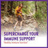 New Chapter® Vitamin C Immune Defense Supplement + Elderberry – Excellent Source of Vitamin C, One Daily Tablet for Healthy Immune Support, Made w...