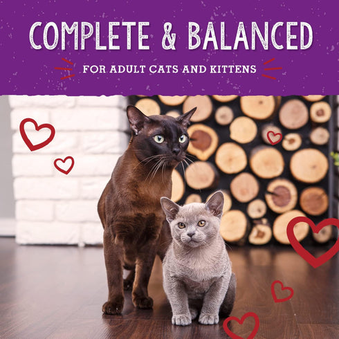 Stella & Chewy's Freeze-Dried Raw Cat Dinner Morsels – Grain Free, Protein Rich Cat & Kitten Food – Bountiful Beef Recipe – 3.5 oz Bag...