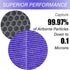 R1 HEPA Filter Replacement Compatible with YIOU R1 P1802 and Elechomes P1801, Deep Purple, 2 Pack...