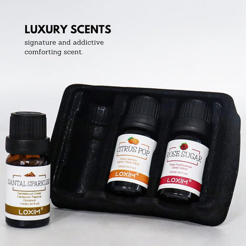 LOXIM Discovery Collection Essential Oil Set of 3 (Santal Sparkle, Rose Sugar, Citrus Pop) Fragrance Oils for Aromatherapy Diffuser, 100% Pure Nat...