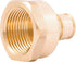 SharkBite 1/2 Inch x 3/4 Inch Expansion FNPT Adapter Fitting for PEX-A Pipe, Brass Plumbing Fittings, Female NPT Adapter for PEX-A Tubing, UAB068L...