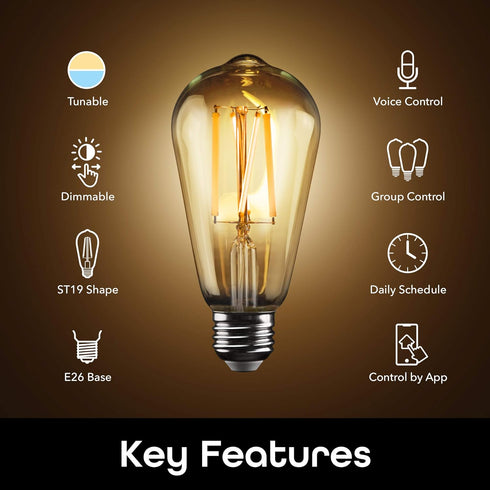 Geeni Smart Light Bulb - Alexa and Google Home Compatible, Tunable White LED Programmable and Dimmable WiFi Light Bulb, App Controlled (ST19-2 Pac...