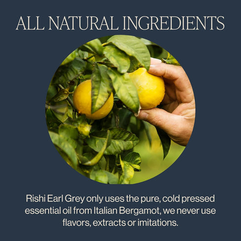 Rishi Tea Earl Grey Tea - Organic Sachet Tea Bags, Pure Black Tea with Bergamot Oil, Energizing & Caffeinated - 15 Count (Pack of 1)...