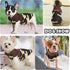 Dog Vest Sweater Pullover Sweatshirt Jacket for Small Dogs Coat for XXS XS S Dogs Boy Girls Chihuahua Teacup Yorkie pet doggie Outfits clothing Ca...