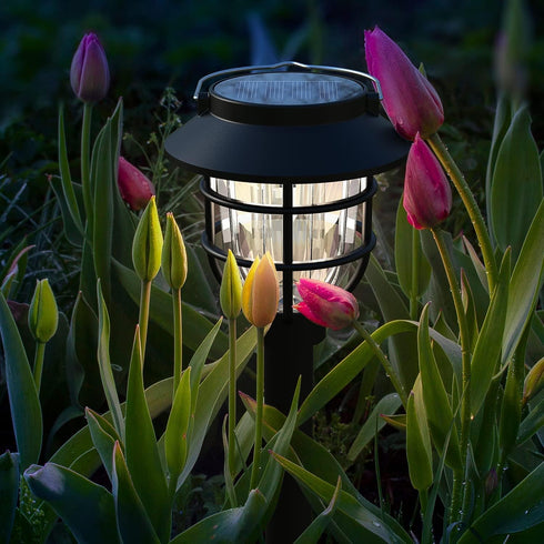 2 Pack Solar Pathway Lights Outdoor - Bright Solar Powered Garden Lights with Warm White LED, Auto On/Off Waterproof Path Lights Decorative, Lands...
