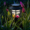 2 Pack Solar Pathway Lights Outdoor - Bright Solar Powered Garden Lights with Warm White LED, Auto On/Off Waterproof Path Lights Decorative, Lands...