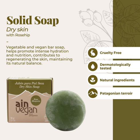 AIN Vegan Dry Skin Soap - Vegan Body Hand Soap for Dry Skin - Hydrating Nourishing - Natural Ingredients Rosehip from Patagonia & Parkii Butter - ...