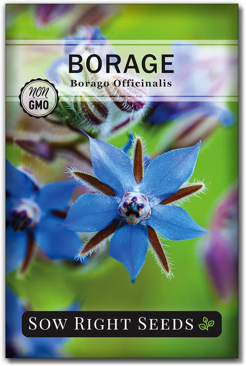 Sow Right Seeds - Large Herbal Tea Garden Seed Collection for Planting - Lemon Balm, Mint, Chamomile, Lavender, Echinacea, Borage, Hyssop, Calendu...
