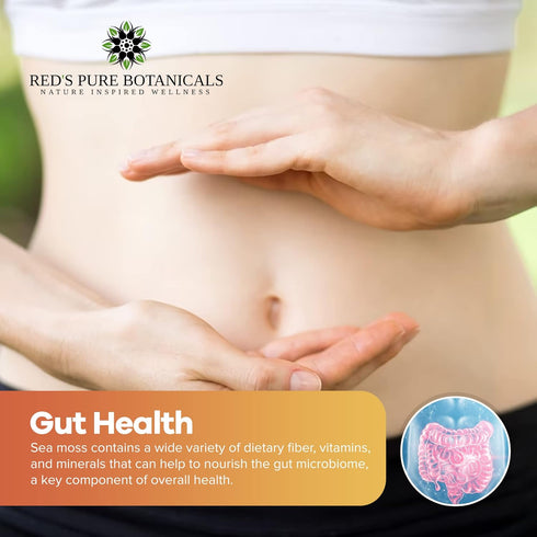 Wildcrafted Sea Moss - Healthy Irish, Raw Sea Moss from Rocks & Sea Beds of St. Lucia - 4oz Dry Makes 60-80oz Seamoss Gel - Hand-Harvested, Vegan ...