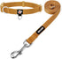 azuza Nylon Fall Dog collar and Leash set, Strong & Durable Basic Style Leash with Easy to Use Collar Hook, Available in Multiple Lengths for Smal...