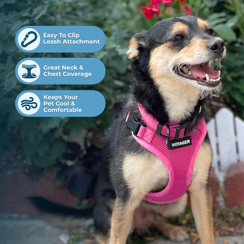 Voyager Step-in Lock Dog Harness w Reflective Dog Leash Combo Set with Neoprene Handle 5ft - Supports Small, Medium and Large Breed Puppies/Cats b...