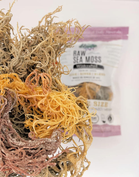 Sea Moss | Wildcrafted | 2.5 oz | Makes 64 oz of Gel | Raw + Non GMO | Sundried | Mineral Rich | Saint Lucia...