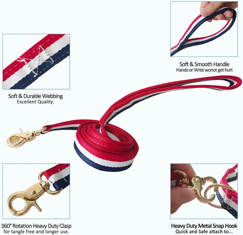 Premium Dog Leash with Luxury Style, Soft Durable Dog Leashes, Walking Training Leash for Small Medium Large Dogs...