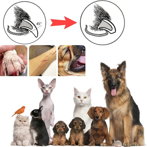 3Pcs Dog Nail Grinder Replacement Pet Nail Grider Polisher Wheel Head Professional Spare Grinding Head for Dog Cat Pet Toenail Paws Electric Claw ...