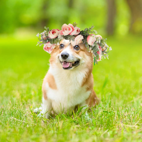 Dog Wedding Flower Collar Dog Pink Floral Attire Wreath Bow for Female Pets Cats Dog Valentine's Day Party Photo Props(Pink, Fresh, Large)...