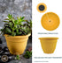 The HC Companies 10 Inch Caribbean Planter - Lightweight Indoor Outdoor Plastic Plant Pot for Herbs and Flowers, Honey...