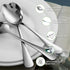 SANTUO Stainless Steel Teaspoon Set,12 Piece 6.7" Spoons Silverware,Dessert Spoons,Mirror Finish & Dishwasher Safe...