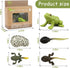 Mbrain5pcs Frog Growth Cycle with Flash Cards,Life Cycle Learning & Education Toys,Montessori Toys,Gift for Girl & Boy for 3 4 5 6 7 Year Old (Fro...