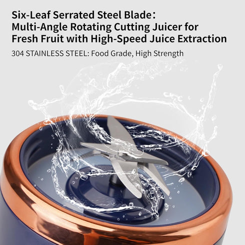 Portable Blender, 20 Oz Mini Personal Size Blender for Shakes and Smoothies with 6 Blades, Rechargable Blender, 4000mAh Electric Blender for Kitch...